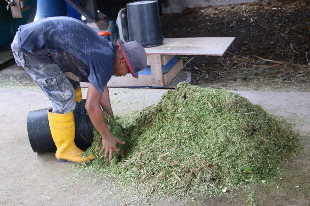 Meneroka Ekonomi Kitaran Melalui Penternakan Lestari