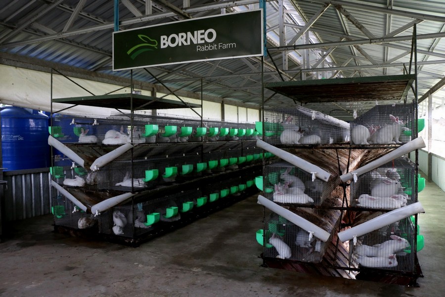 Usaha Anak Muda Bintulu Mengekalkan Legasi Keluarga